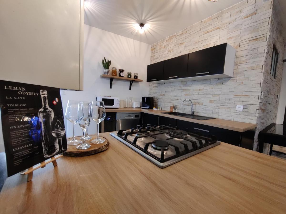 Appartement Hyper Centre Evian - Leman Odyssey מראה חיצוני תמונה